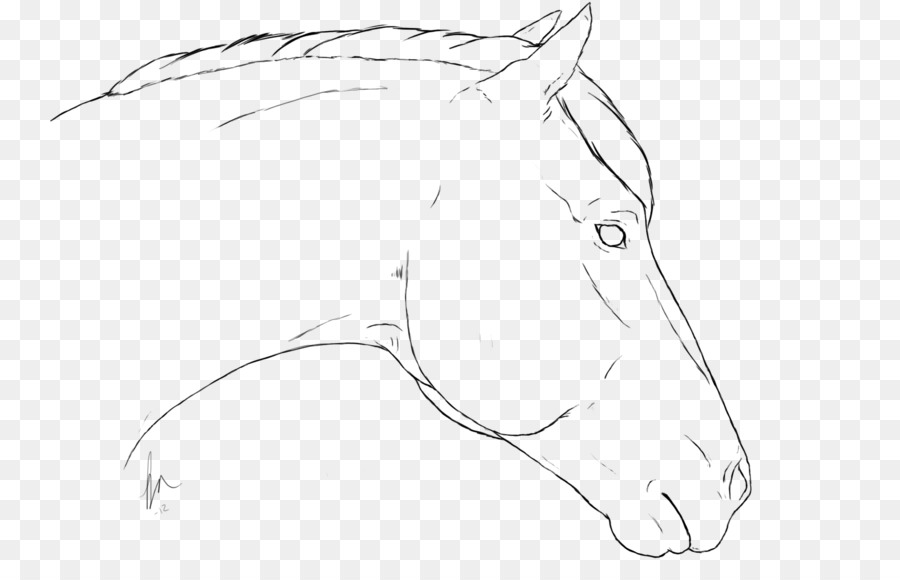 Desenho，Mustang PNG
