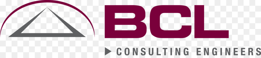 Bullee Consultoria Ltd，Logo PNG
