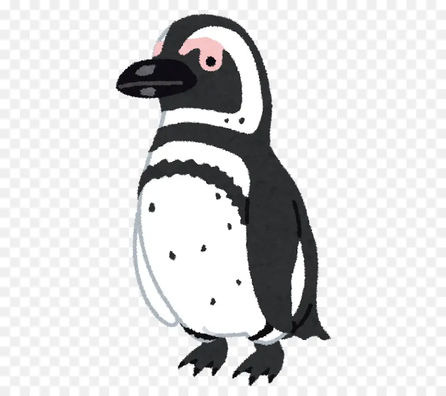 Penguin，Pinguim De Magalhães PNG