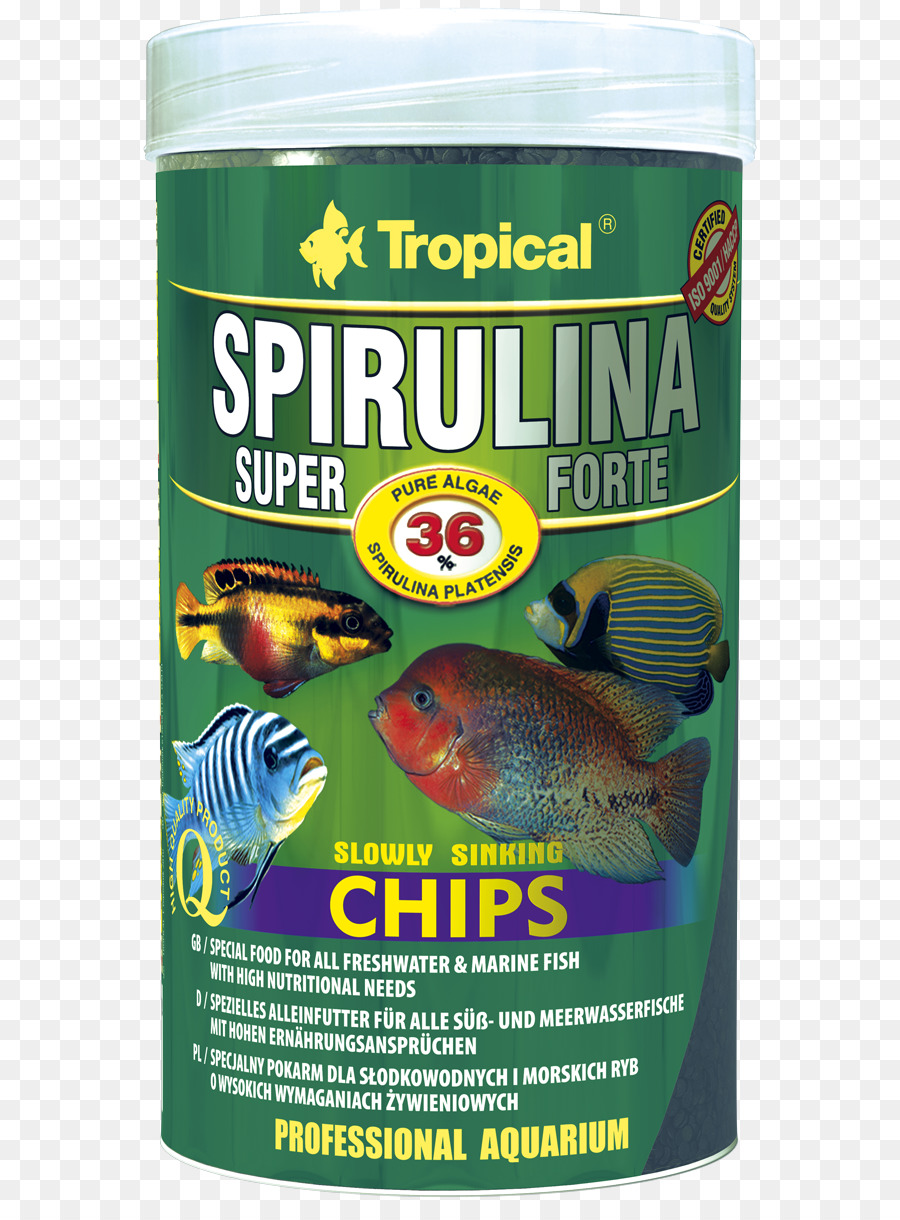 Spirulina，Alimentos PNG