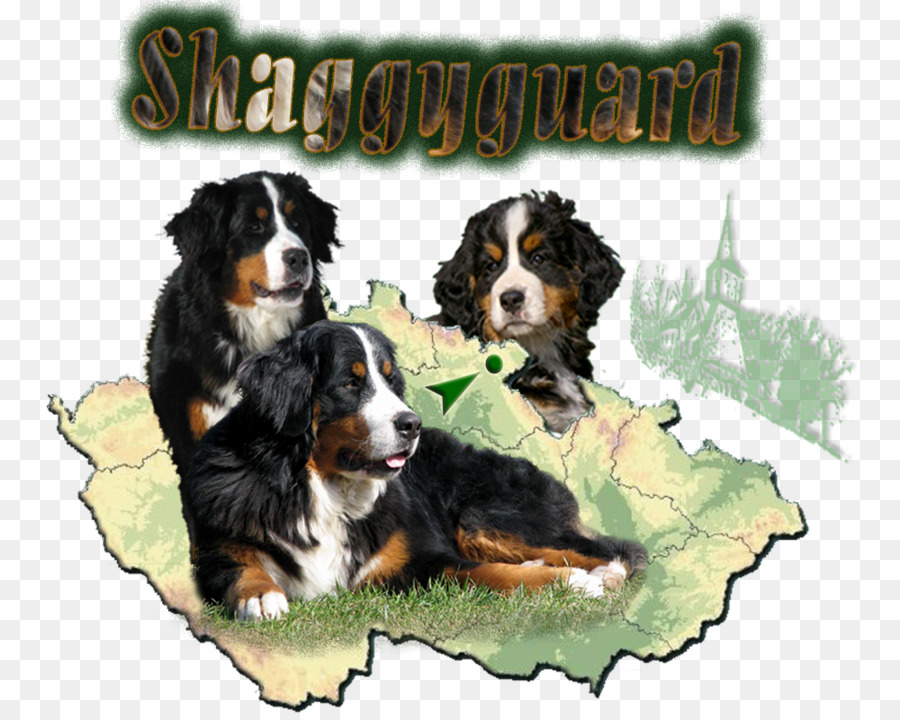 Raça Do Cão，Bernese Mountain Dog PNG