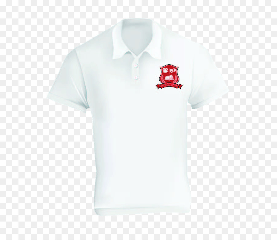 Camisa Polo，Tshirt PNG