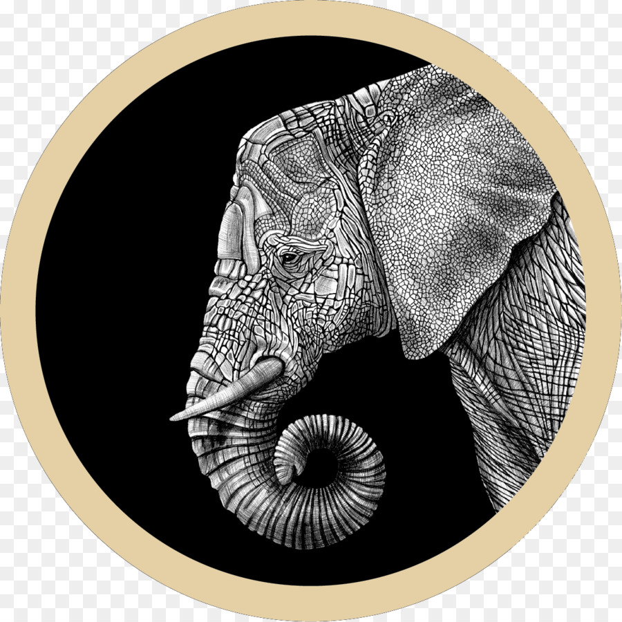 Elefante，Desenho PNG