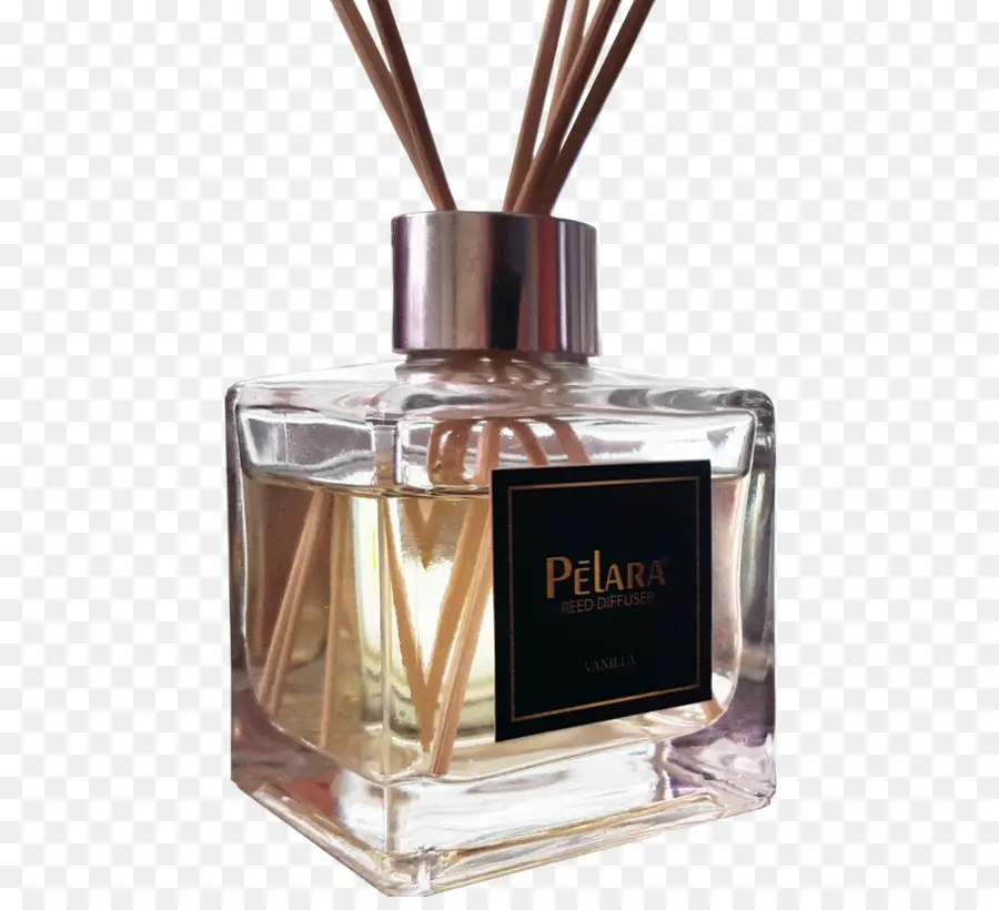 Perfume，Pelara PNG