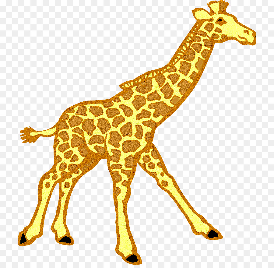 Girafa，Animais Selvagens PNG