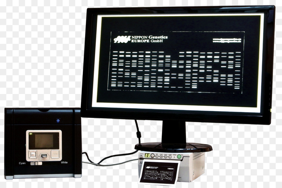 Monitor De Computador Acessório，Monitores De Computador PNG
