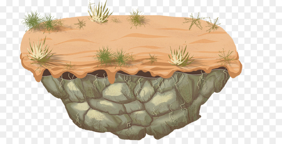 Arte，Cactaceae PNG