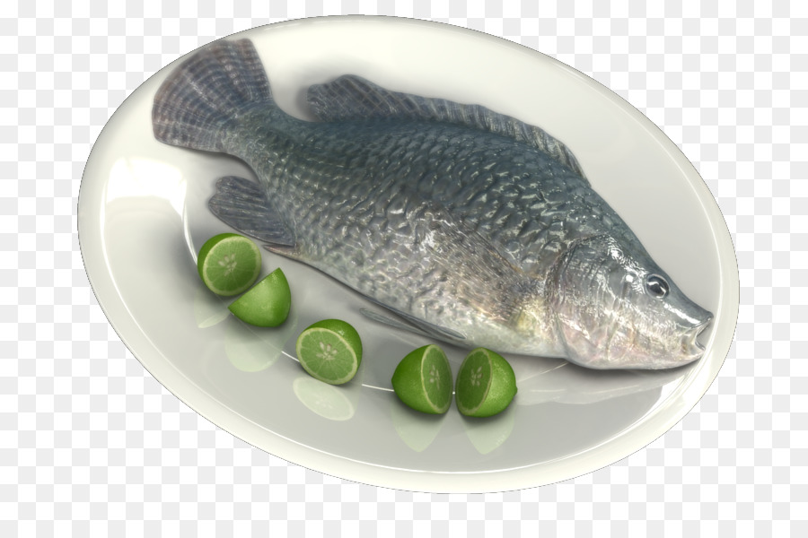 Salmão，Produtos De Peixe PNG