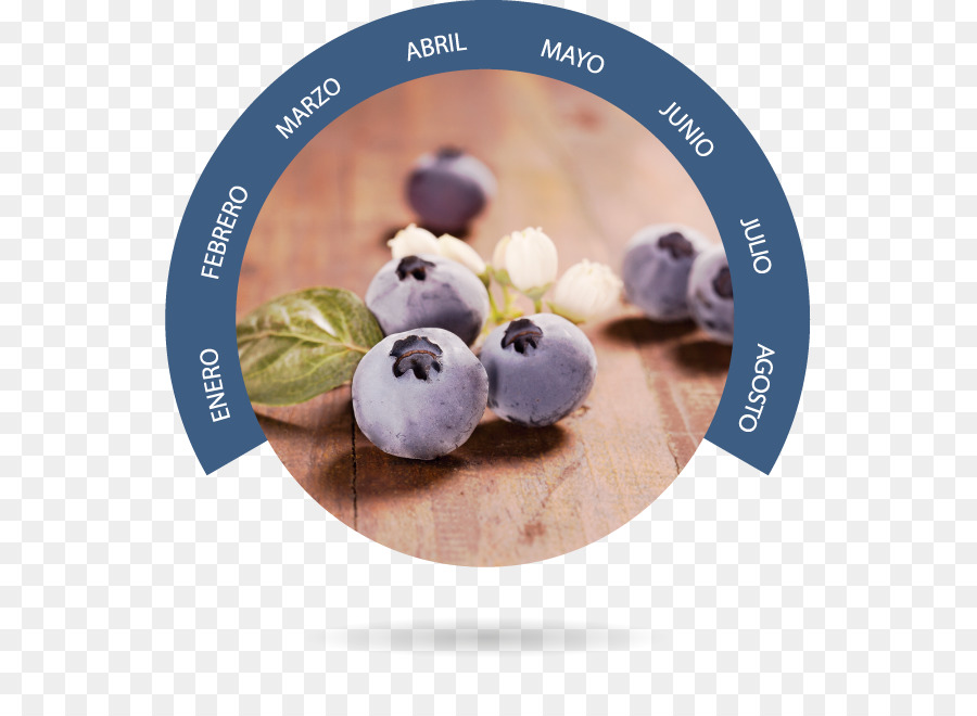 Bionest，Blueberry PNG