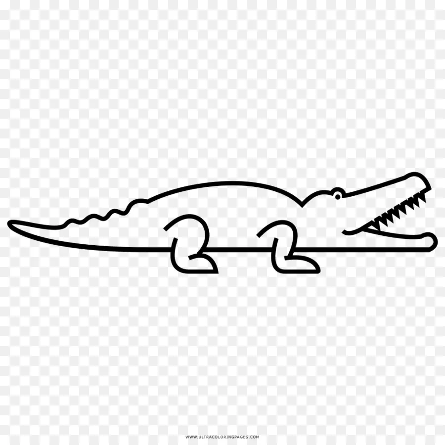 Crocodilo，Livro De Colorir PNG