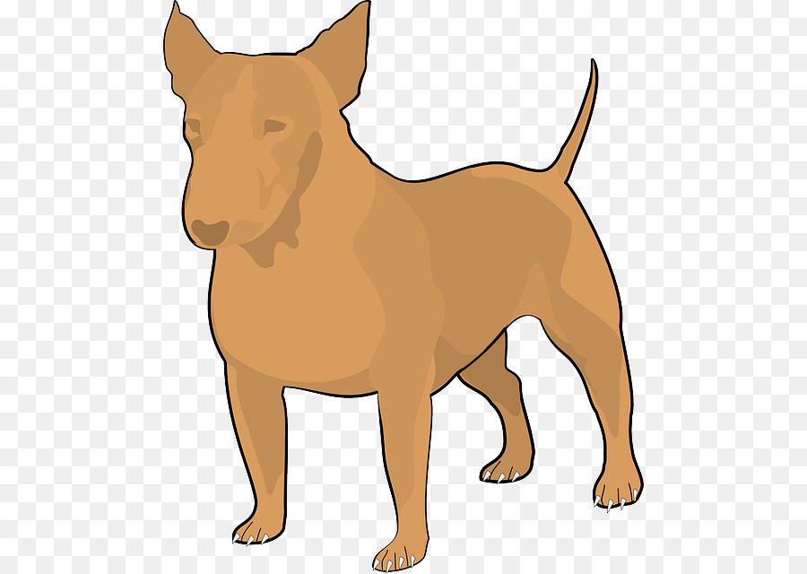 Bull Terrier，Bulldog PNG