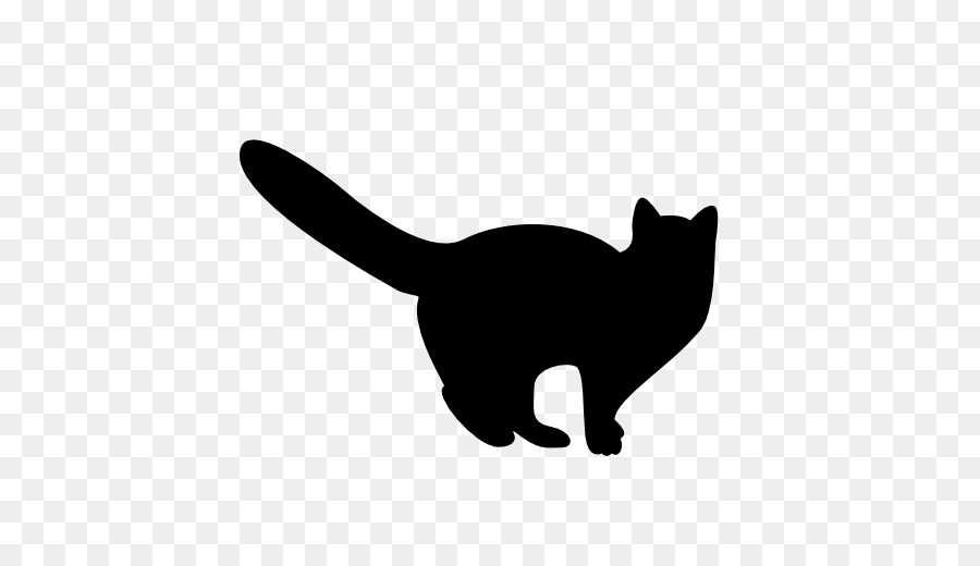 Gato Preto，Gatinho PNG