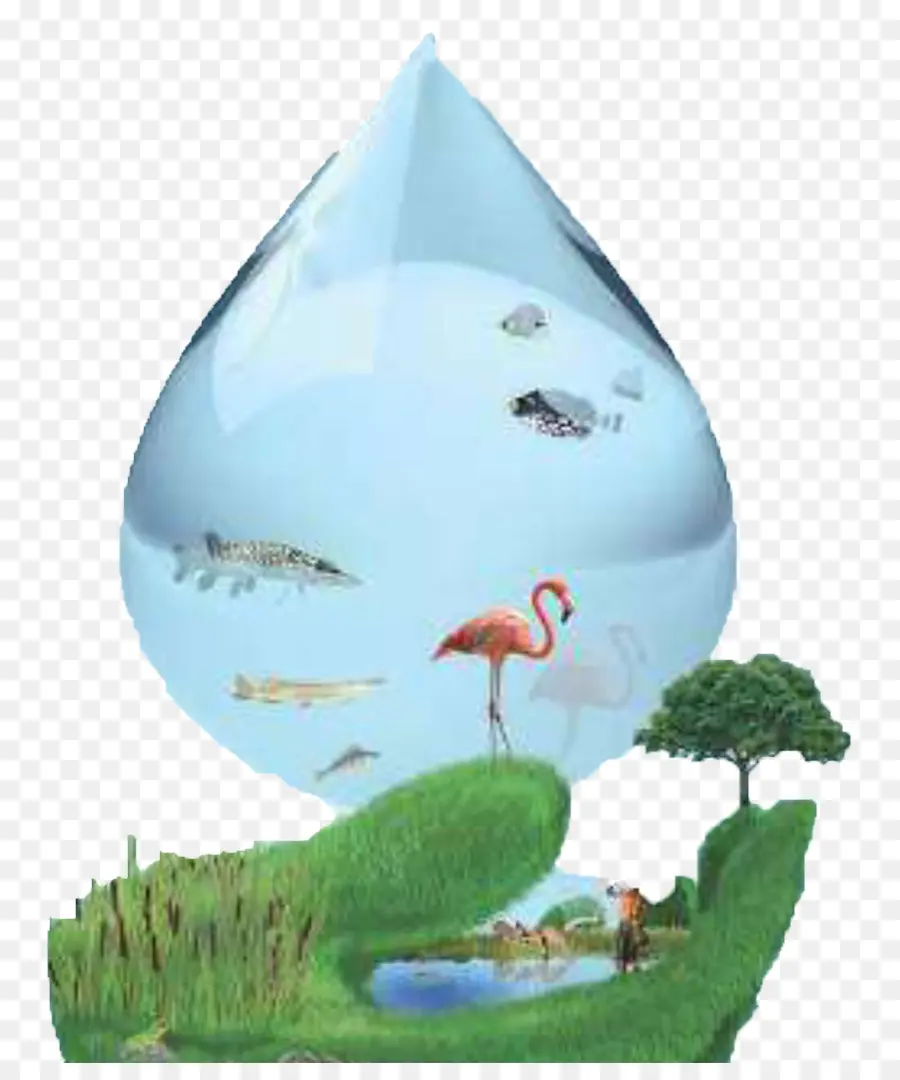 Gota D'água，Ecossistema PNG