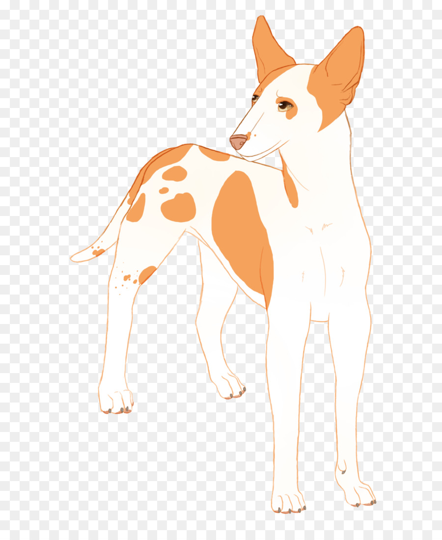 Ibizan Hound，Bigodes PNG