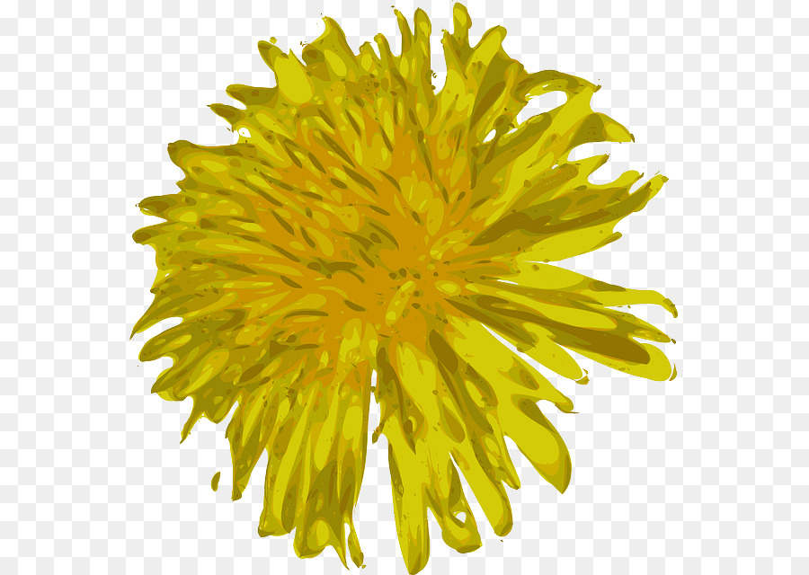 Flor Amarela，Florescer PNG