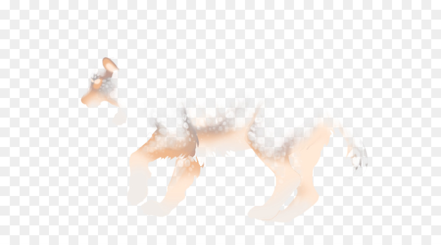 Canidae，Cachorro PNG