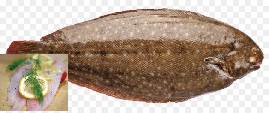 Produtos De Peixe，Tilápia PNG