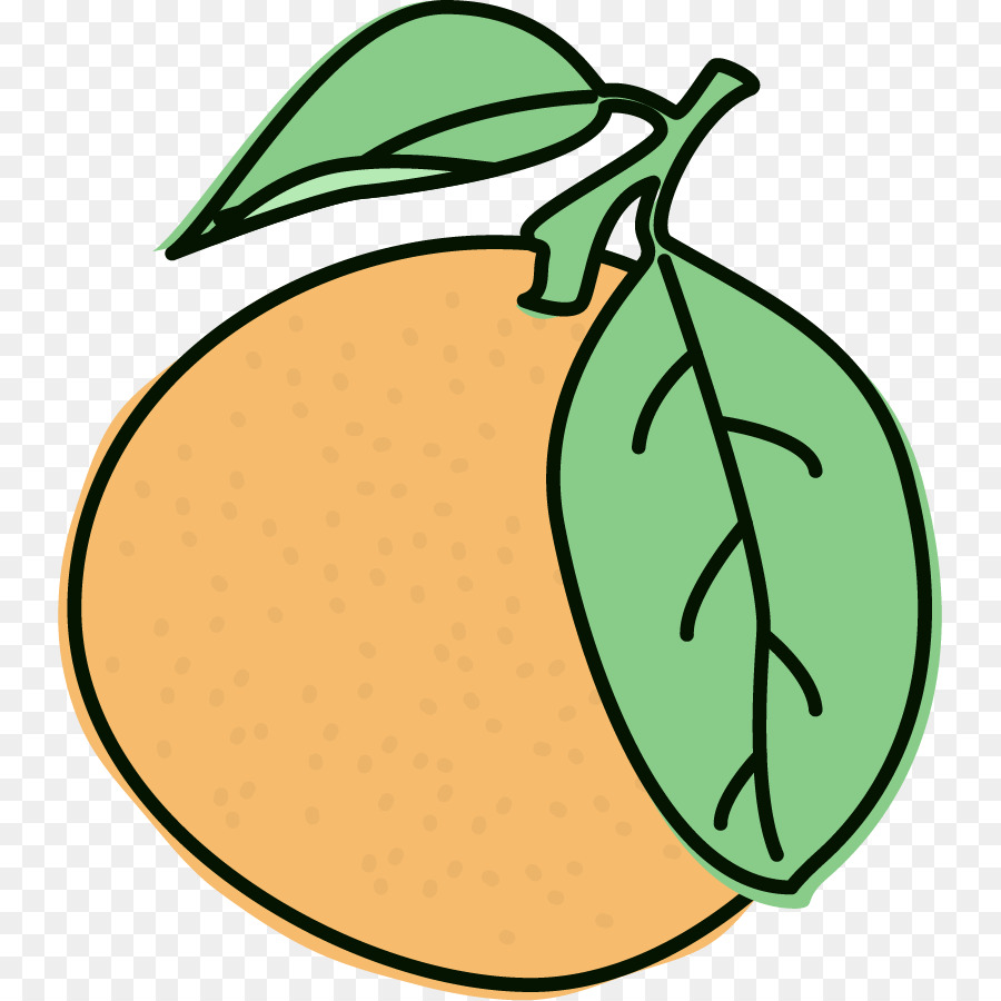 Laranja，Cítrico PNG