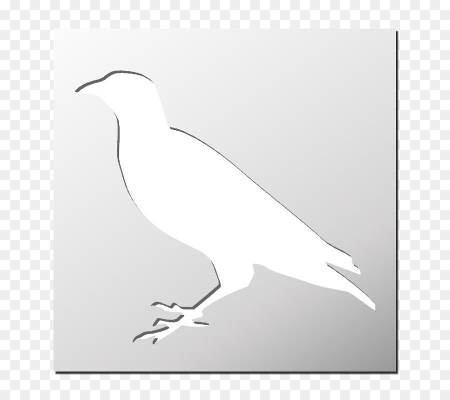 Aves，Estêncil PNG