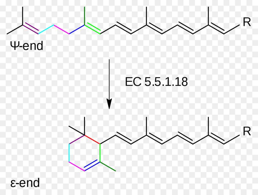 O Licopeno Epsiloncyclase，O Licopeno PNG