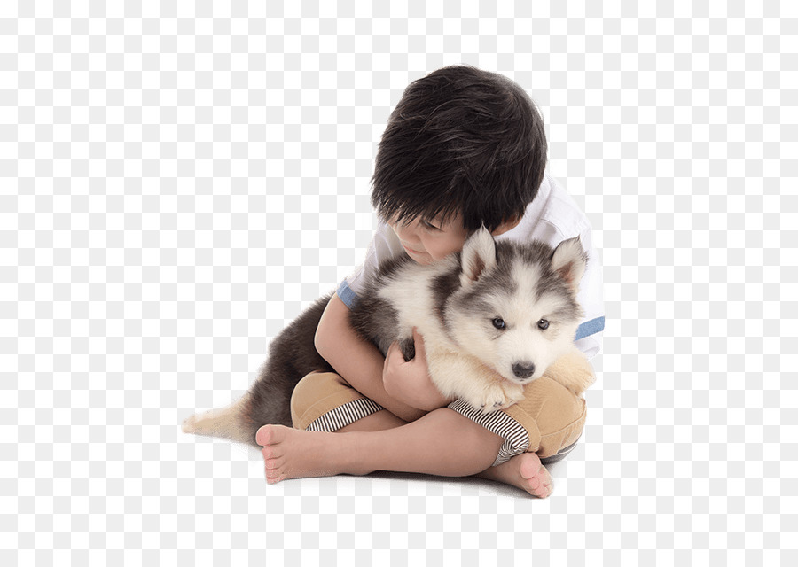 Menino Com Cachorrinho，Criança PNG