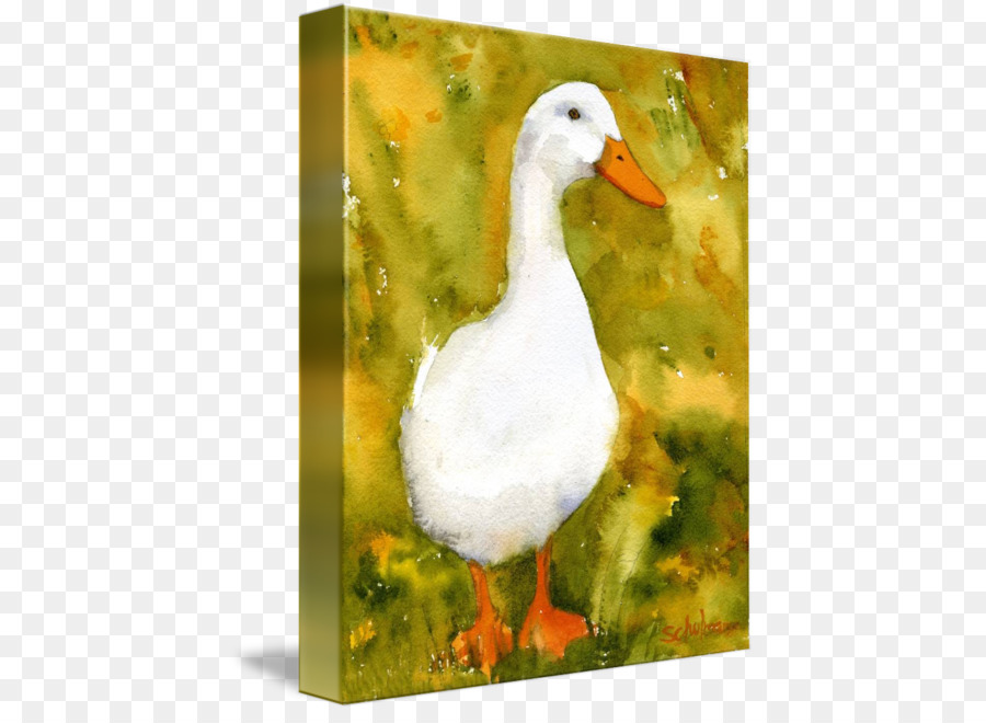 Pato Branco，Pintura PNG