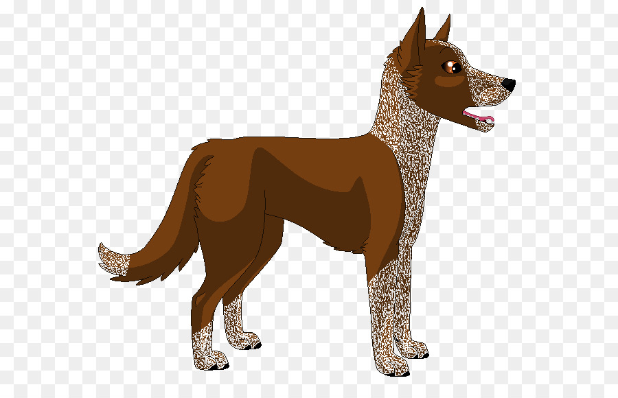 Cachorro，Shiba Inu PNG