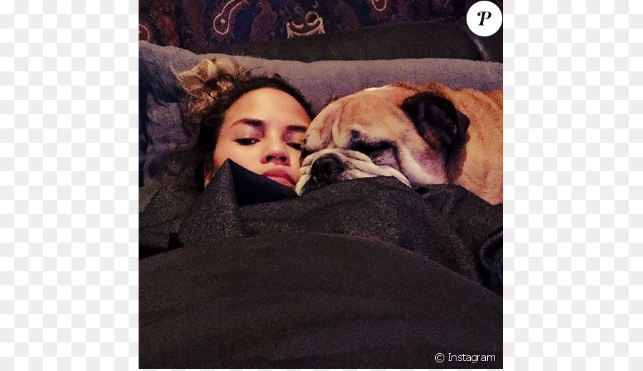 Chrissy Teigen，Pug PNG