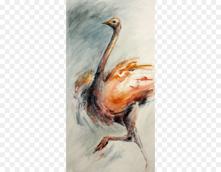 Frango，Pintura PNG