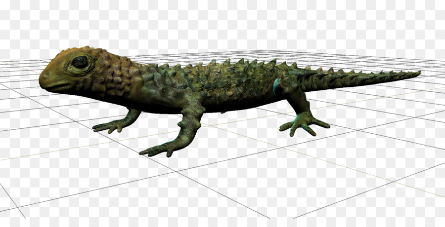Comum Iguanas，A Fauna PNG