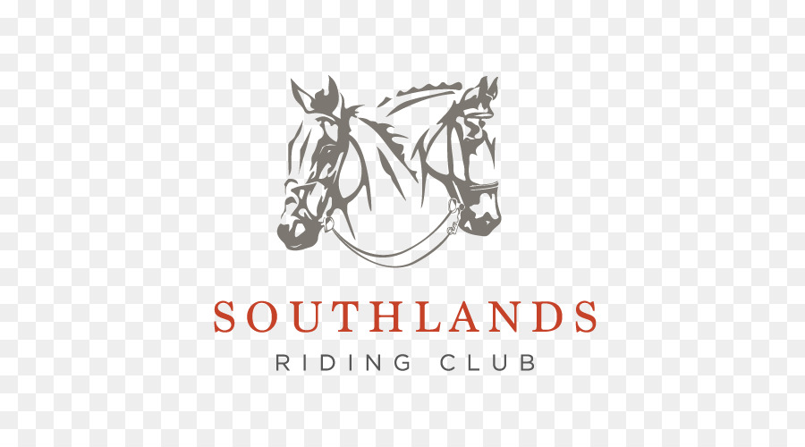 Southlands Clube De Equitação，Cavalo PNG