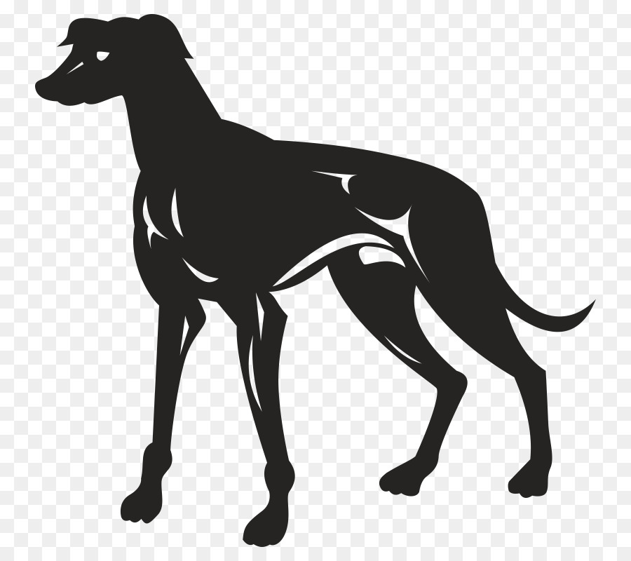 Greyhound Linhas，Greyhound PNG