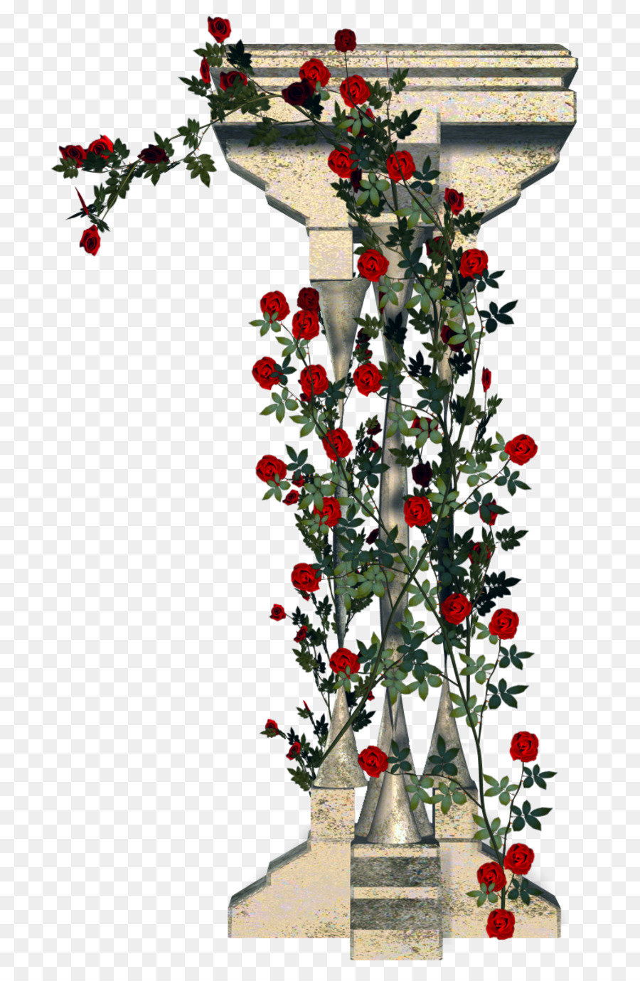 Coluna，Rosas PNG