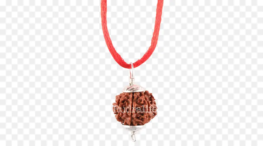 Rudraksha，Rudralife PNG