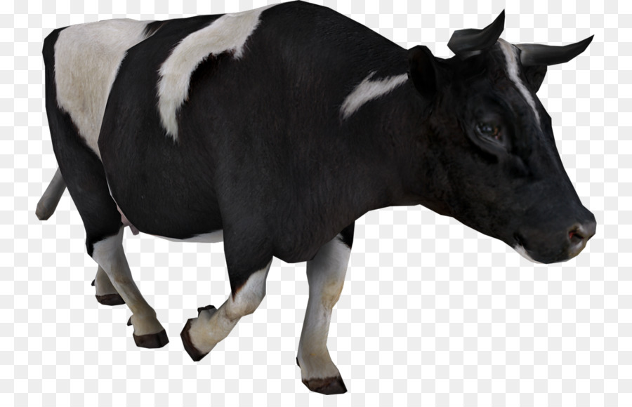 Vaca，Pecuária PNG