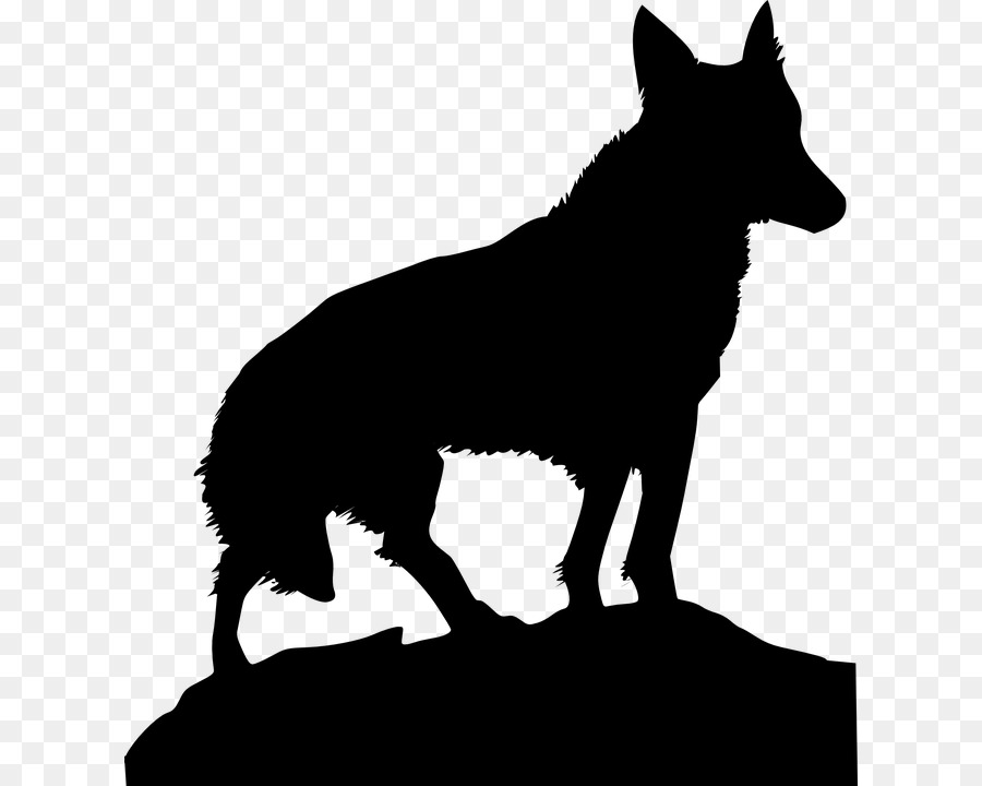 Cão，Lobo Negro PNG