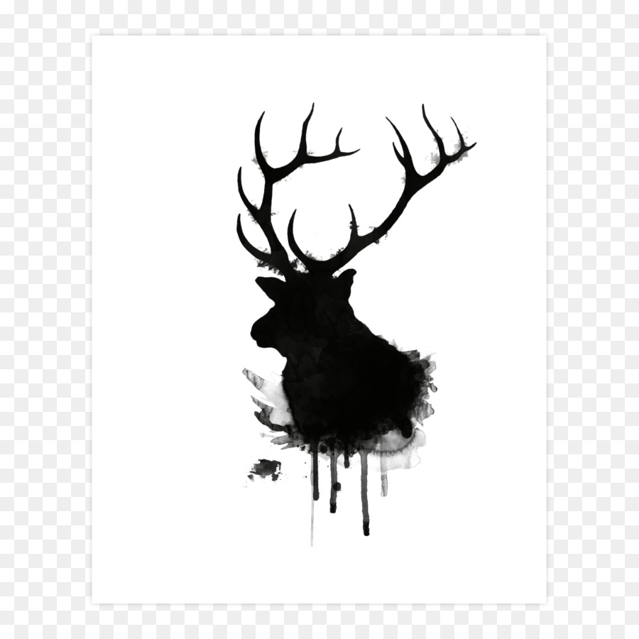 Elk，Veado PNG