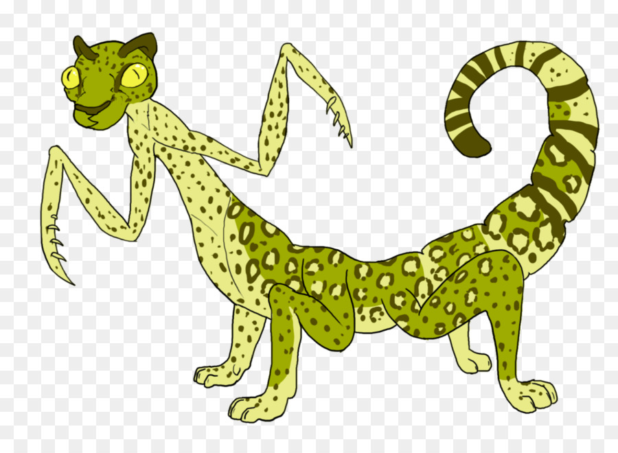 Gato，Dos Animais Terrestres PNG