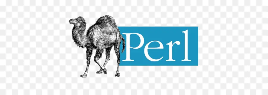 Perl，Linguagem De Programação PNG