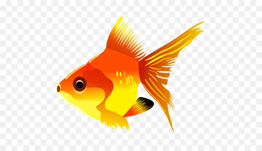 Peixe Dourado，Peixe PNG