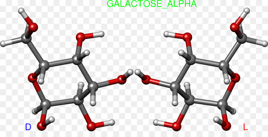 Galactose，Gulose PNG