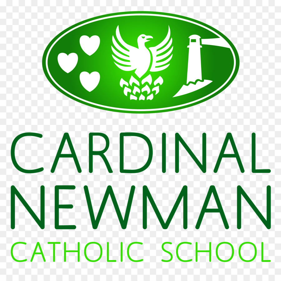 O Cardeal Newman Escola Católica E Da Faculdade De Comunidade，Escola Católica PNG