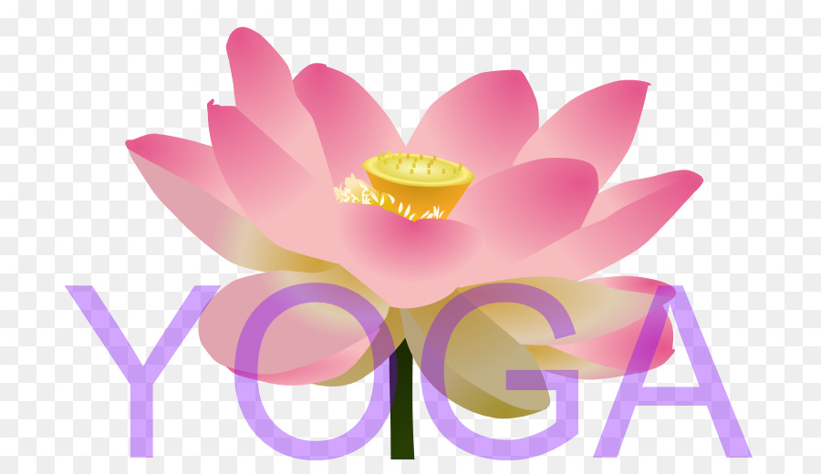 Lotus Cars，Nelumbo Nucifera PNG