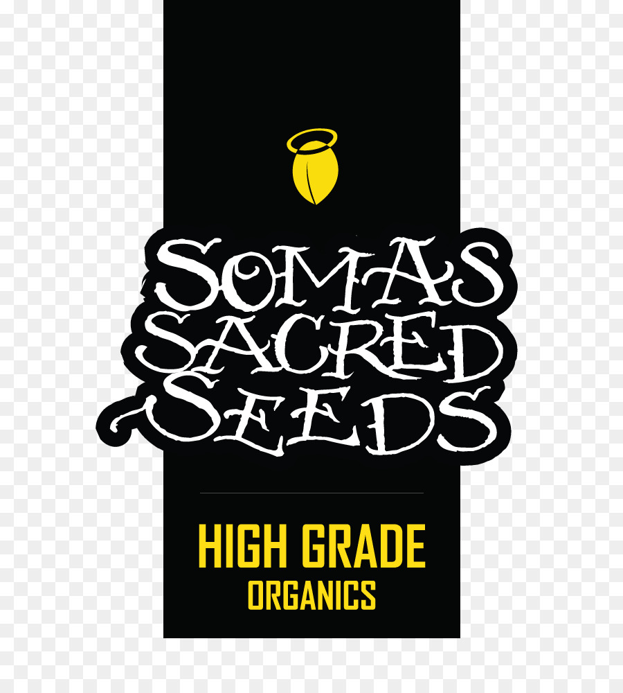 Soma Seeds，Semente PNG