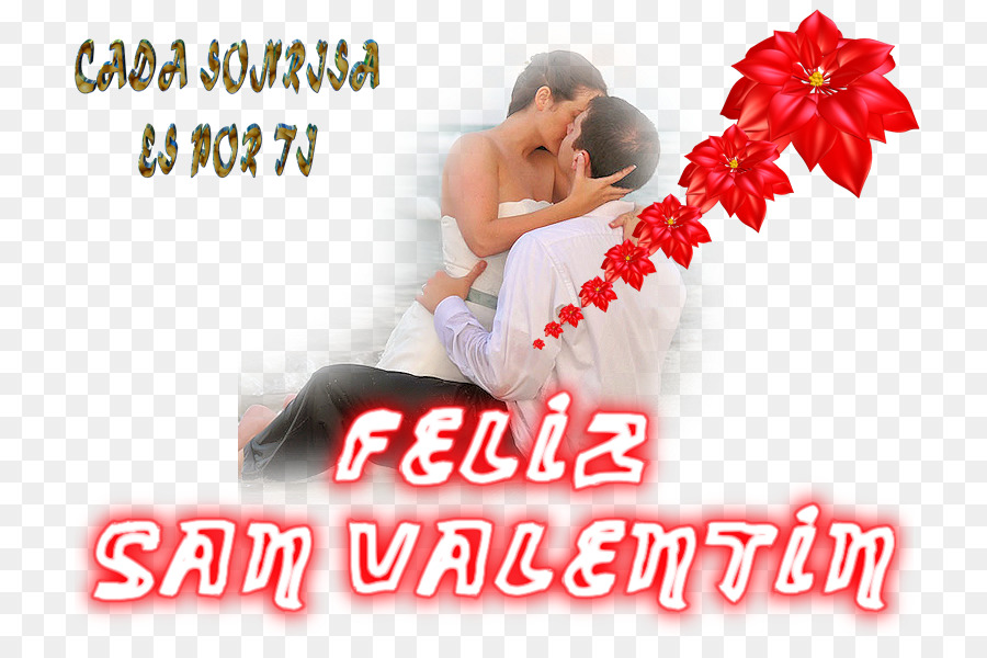 Dia Dos Namorados，Amor PNG