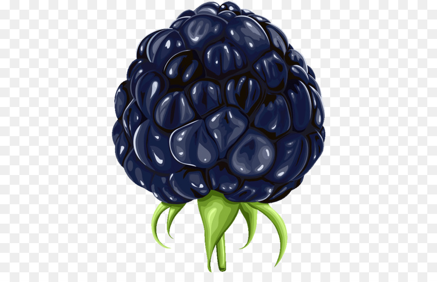 Blackberry，Desenho PNG