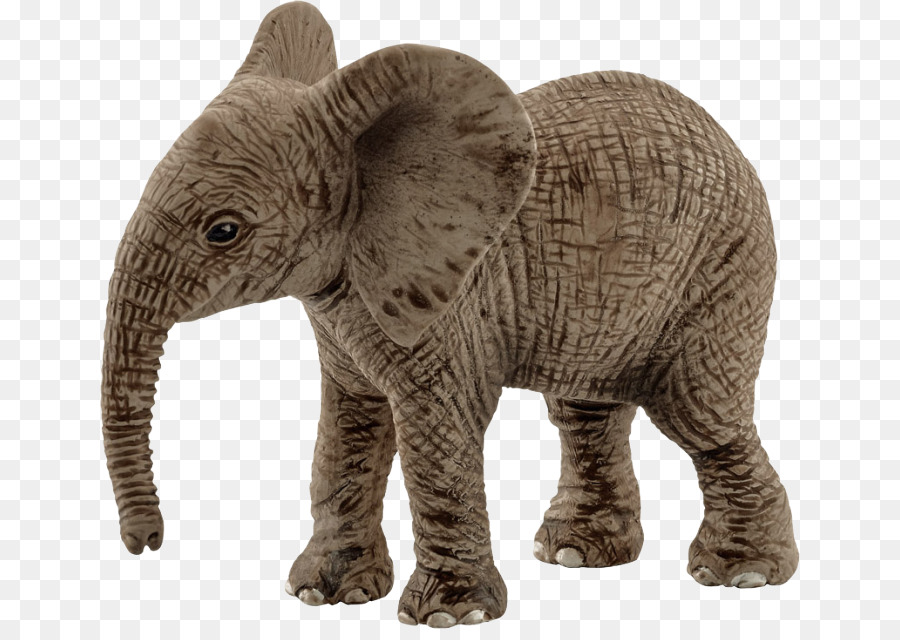 Elefante Africano，Schleich PNG