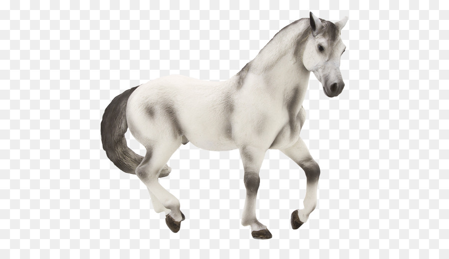 Potro，Cavalo PNG