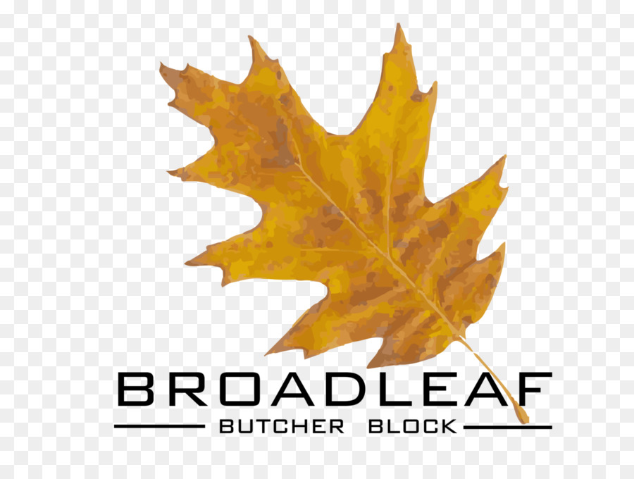 Maple Leaf，Folha PNG