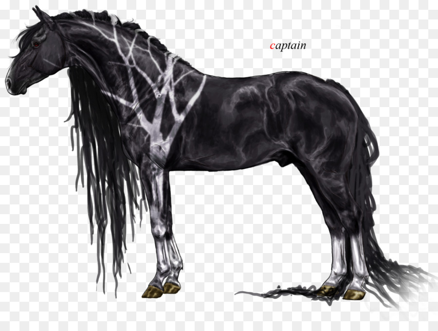 Cavalo，Equino PNG